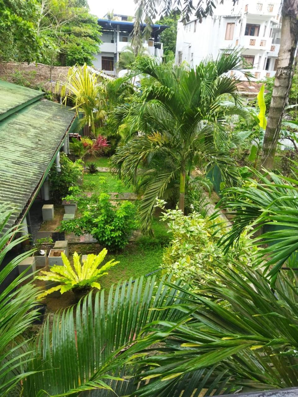 Lion Paradise Surf Beach Matara Exterior photo