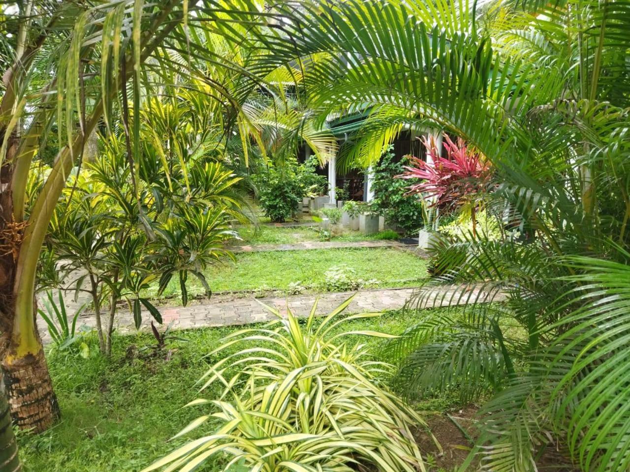 Lion Paradise Surf Beach Matara Exterior photo