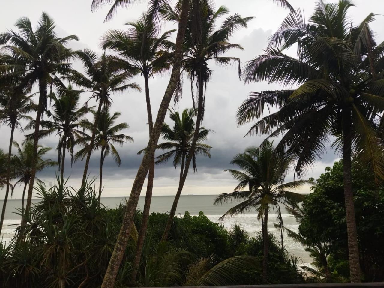 Lion Paradise Surf Beach Matara Exterior photo