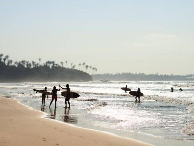 Lion Paradise Surf Beach Matara Exterior photo